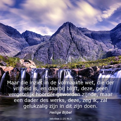 Picture 03 - Jakobus 1:25 NLD - Maar die inziet in de volmaakte wet, die der - Bible Verse Picture