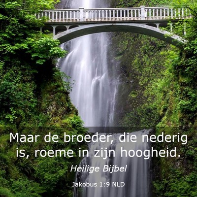 Picture 03 - Jakobus 1:9 NLD - Maar de broeder, die nederig is, roeme in zijn - Bible Verse Picture
