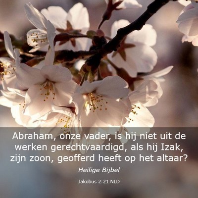 Picture 03 - Jakobus 2:21 NLD - Abraham, onze vader, is hij niet uit de werken - Bible Verse Picture