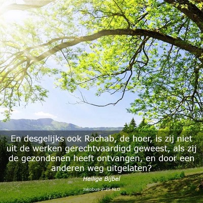 Picture 03 - Jakobus 2:25 NLD - En desgelijks ook Rachab, de hoer, is zij niet - Bible Verse Picture