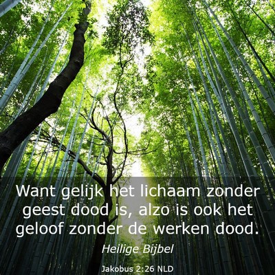 Picture 03 - Jakobus 2:26 NLD - Want gelijk het lichaam zonder geest dood is, - Bible Verse Picture