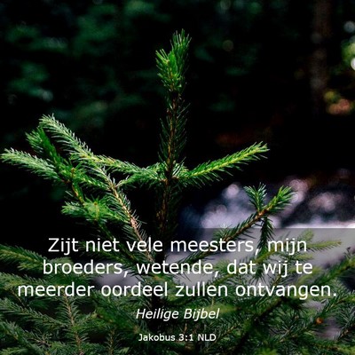 Picture 03 - Jakobus 3:1 NLD - Zijt niet vele meesters, mijn broeders, wetende, - Bible Verse Picture