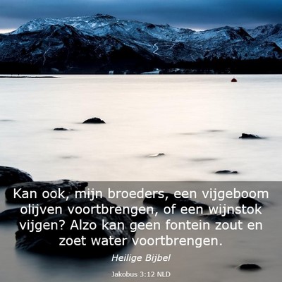 Picture 03 - Jakobus 3:12 NLD - Kan ook, mijn broeders, een vijgeboom olijven - Bible Verse Picture
