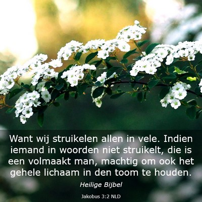 Picture 03 - Jakobus 3:2 NLD - Want wij struikelen allen in vele. Indien iemand - Bible Verse Picture