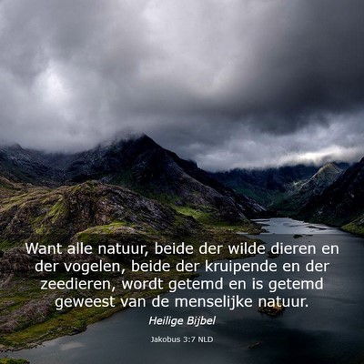 Picture 03 - Jakobus 3:7 NLD - Want alle natuur, beide der wilde dieren en der - Bible Verse Picture