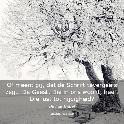 Picture 03 - Jakobus 4:5 NLD - Of meent gij, dat de Schrift tevergeefs zegt: De - Bible Verse Picture