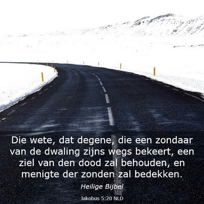 Picture 03 - Jakobus 5:20 NLD - Die wete, dat degene, die een zondaar van de - Bible Verse Picture