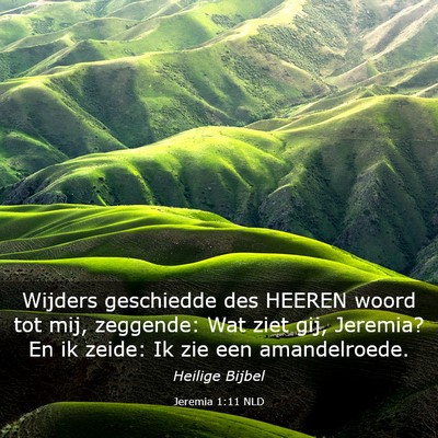 Picture 03 - Jeremia 1:11 NLD - Wijders geschiedde des HEEREN woord tot mij, - Bible Verse Picture
