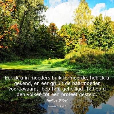 Picture 03 - Jeremia 1:5 NLD - Eer Ik u in moeders buik formeerde, heb Ik u - Bible Verse Picture