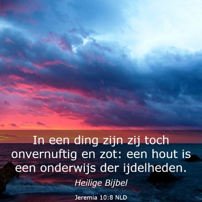 Picture 03 - Jeremia 10:8 NLD - In een ding zijn zij toch onvernuftig en zot: een - Bible Verse Picture