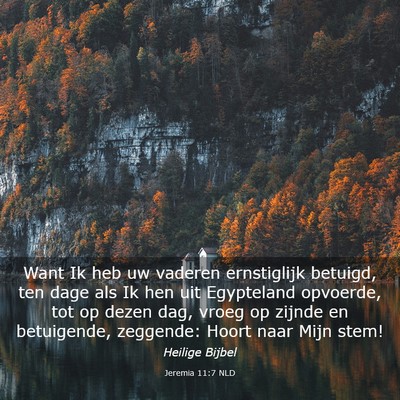 Picture 03 - Jeremia 11:7 NLD - Want Ik heb uw vaderen ernstiglijk betuigd, ten - Bible Verse Picture