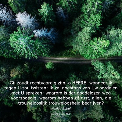 Picture 03 - Jeremia 12:1 NLD - Gij zoudt rechtvaardig zijn, o HEERE! wanneer ik - Bible Verse Picture