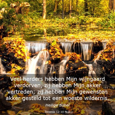 Picture 03 - Jeremia 12:10 NLD - Veel herders hebben Mijn wijngaard verdorven, zij - Bible Verse Picture