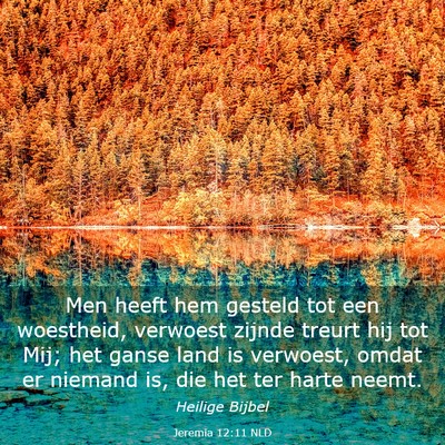 Picture 03 - Jeremia 12:11 NLD - Men heeft hem gesteld tot een woestheid, verwoest - Bible Verse Picture