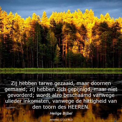 Picture 03 - Jeremia 12:13 NLD - Zij hebben tarwe gezaaid, maar doornen gemaaid; - Bible Verse Picture