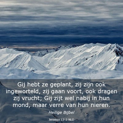 Picture 03 - Jeremia 12:2 NLD - Gij hebt ze geplant, zij zijn ook ingeworteld, - Bible Verse Picture