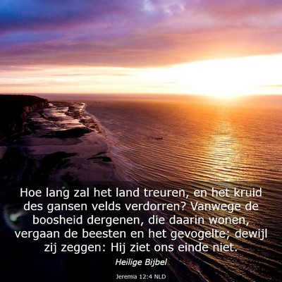 Picture 03 - Jeremia 12:4 NLD - Hoe lang zal het land treuren, en het kruid des - Bible Verse Picture