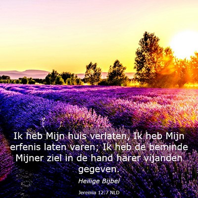 Picture 03 - Jeremia 12:7 NLD - Ik heb Mijn huis verlaten, Ik heb Mijn erfenis - Bible Verse Picture