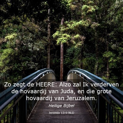 Picture 03 - Jeremia 13:9 NLD - Zo zegt de HEERE: Alzo zal Ik verderven de - Bible Verse Picture