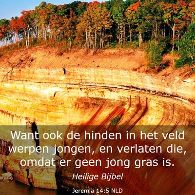 Picture 03 - Jeremia 14:5 NLD - Want ook de hinden in het veld werpen jongen, en - Bible Verse Picture