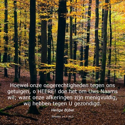 Picture 03 - Jeremia 14:7 NLD - Hoewel onze ongerechtigheden tegen ons getuigen, - Bible Verse Picture