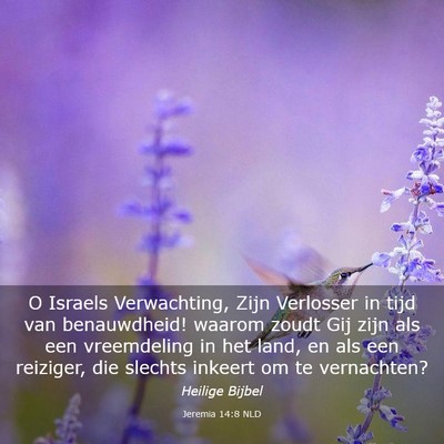 Picture 03 - Jeremia 14:8 NLD - O Israels Verwachting, Zijn Verlosser in tijd van - Bible Verse Picture