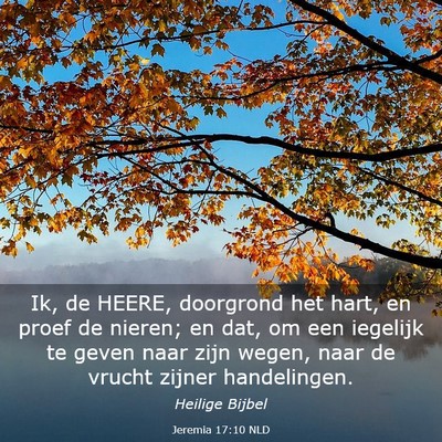 Picture 03 - Jeremia 17:10 NLD - Ik, de HEERE, doorgrond het hart, en proef de - Bible Verse Picture