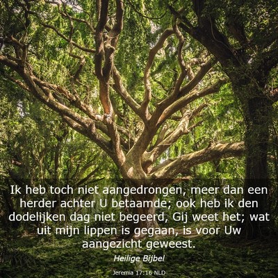 Picture 03 - Jeremia 17:16 NLD - Ik heb toch niet aangedrongen, meer dan een - Bible Verse Picture