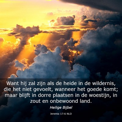 Picture 03 - Jeremia 17:6 NLD - Want hij zal zijn als de heide in de wildernis, - Bible Verse Picture