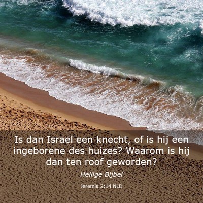 Picture 03 - Jeremia 2:14 NLD - Is dan Israel een knecht, of is hij een - Bible Verse Picture