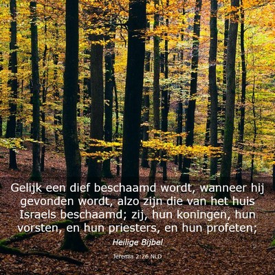 Picture 03 - Jeremia 2:26 NLD - Gelijk een dief beschaamd wordt, wanneer hij - Bible Verse Picture