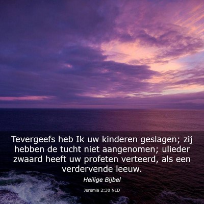 Picture 03 - Jeremia 2:30 NLD - Tevergeefs heb Ik uw kinderen geslagen; zij - Bible Verse Picture