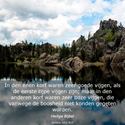 Picture 03 - Jeremia 24:2 NLD - In den enen korf waren zeer goede vijgen, als de - Bible Verse Picture