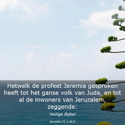 Picture 03 - Jeremia 25:2 NLD - Hetwelk de profeet Jeremia gesproken heeft tot - Bible Verse Picture
