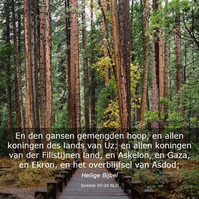 Picture 03 - Jeremia 25:20 NLD - En den gansen gemengden hoop, en allen koningen - Bible Verse Picture