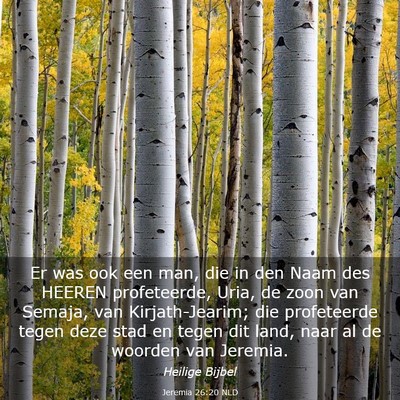 Picture 03 - Jeremia 26:20 NLD - Er was ook een man, die in den Naam des HEEREN - Bible Verse Picture