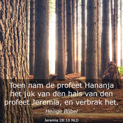 Picture 03 - Jeremia 28:10 NLD - Toen nam de profeet Hananja het juk van den hals - Bible Verse Picture