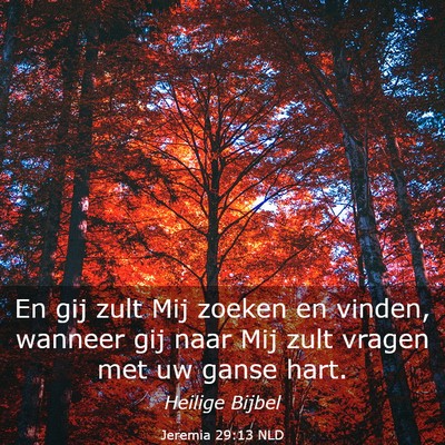 Picture 03 - Jeremia 29:13 NLD - En gij zult Mij zoeken en vinden, wanneer gij - Bible Verse Picture