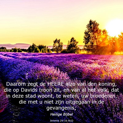 Picture 03 - Jeremia 29:16 NLD - Daarom zegt de HEERE alzo van den koning, die op - Bible Verse Picture