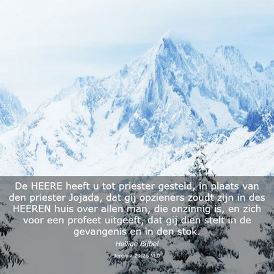 Picture 03 - Jeremia 29:26 NLD - De HEERE heeft u tot priester gesteld, in plaats - Bible Verse Picture
