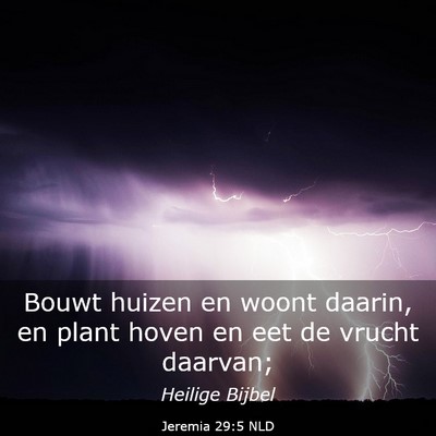 Picture 03 - Jeremia 29:5 NLD - Bouwt huizen en woont daarin, en plant hoven en - Bible Verse Picture