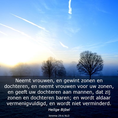 Picture 03 - Jeremia 29:6 NLD - Neemt vrouwen, en gewint zonen en dochteren, en - Bible Verse Picture