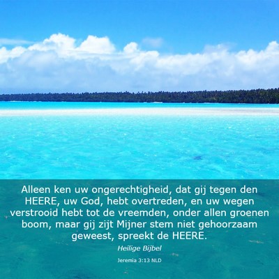 Picture 03 - Jeremia 3:13 NLD - Alleen ken uw ongerechtigheid, dat gij tegen den - Bible Verse Picture