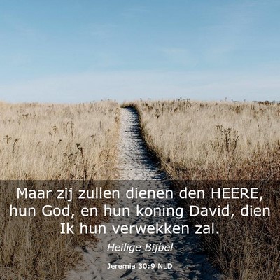Picture 03 - Jeremia 30:9 NLD - Maar zij zullen dienen den HEERE, hun God, en hun - Bible Verse Picture
