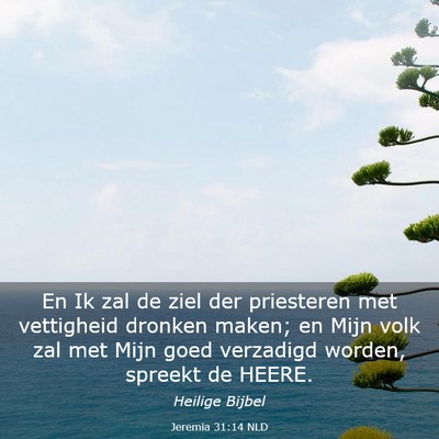 Picture 03 - Jeremia 31:14 NLD - En Ik zal de ziel der priesteren met vettigheid - Bible Verse Picture