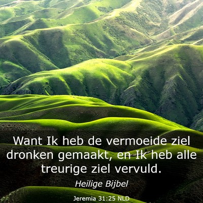 Picture 03 - Jeremia 31:25 NLD - Want Ik heb de vermoeide ziel dronken gemaakt, en - Bible Verse Picture