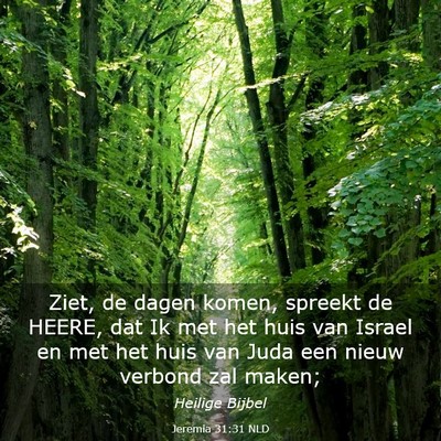 Picture 03 - Jeremia 31:31 NLD - Ziet, de dagen komen, spreekt de HEERE, dat Ik - Bible Verse Picture