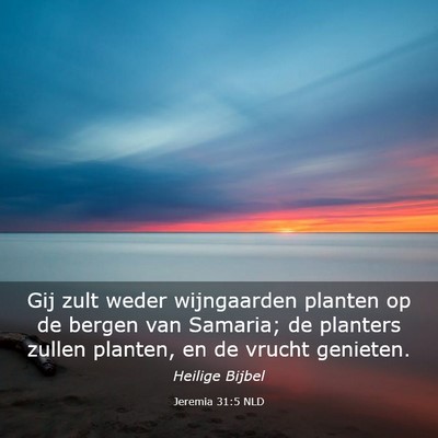 Picture 03 - Jeremia 31:5 NLD - Gij zult weder wijngaarden planten op de bergen - Bible Verse Picture