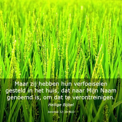Picture 03 - Jeremia 32:34 NLD - Maar zij hebben hun verfoeiselen gesteld in het - Bible Verse Picture