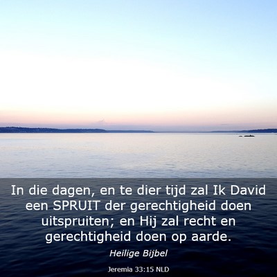 Picture 03 - Jeremia 33:15 NLD - In die dagen, en te dier tijd zal Ik David een - Bible Verse Picture